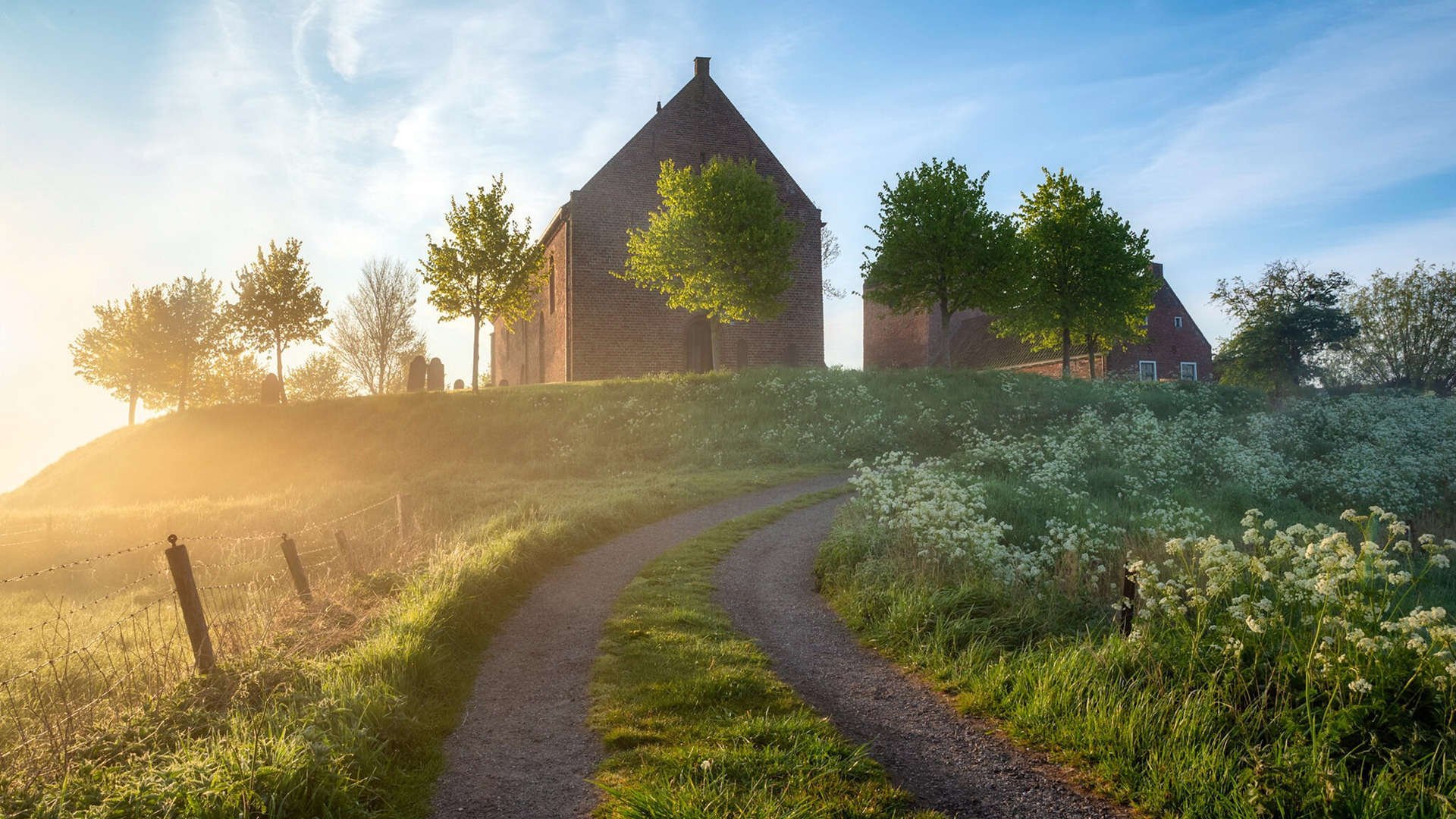 fb体育-王者荣耀 赛事直播观看人数攀升，王者观看比赛