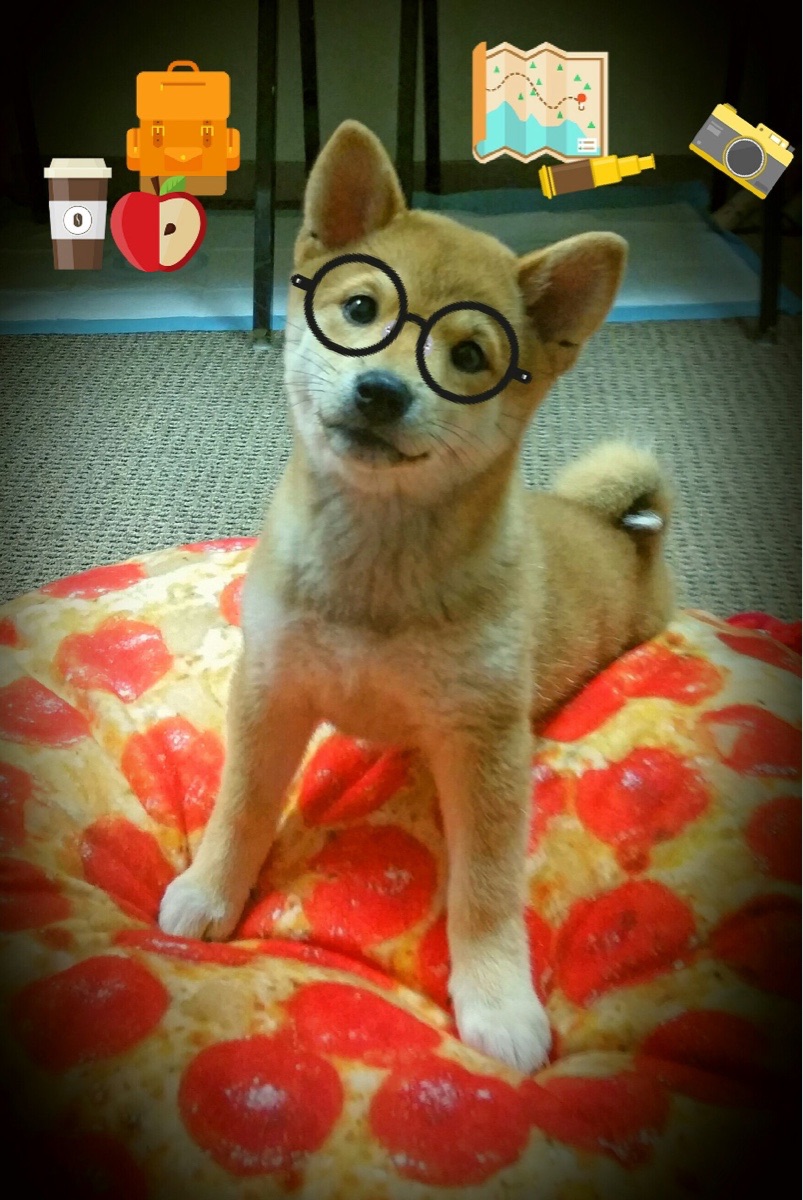 fb体育官网中国-北京国安锋线火力全开，北京国安取胜无悬念