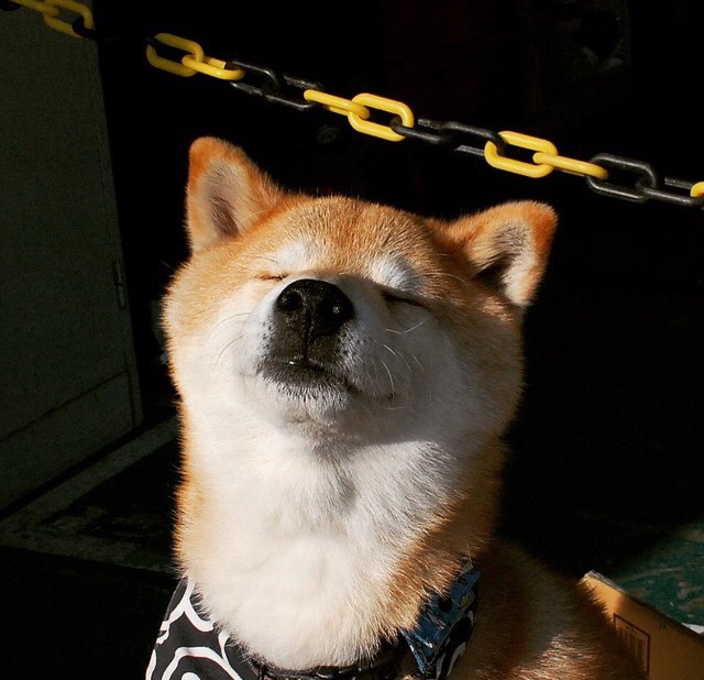 FB体育在线-山东泰山队长续约成功，山东泰山队以前叫什么