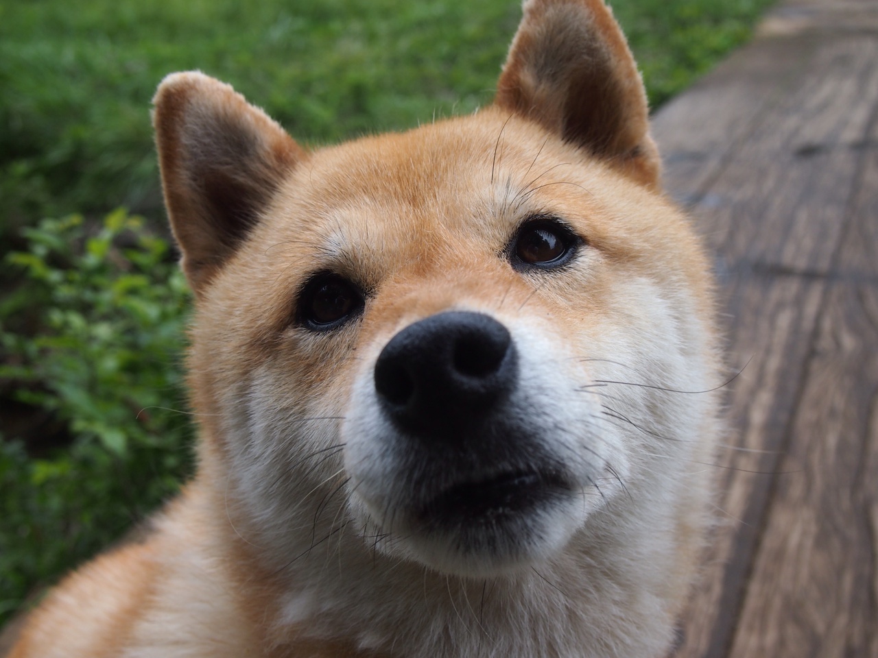 fb体育APP-NBA球员身体素质提升，nba身体素质最好的球员排名