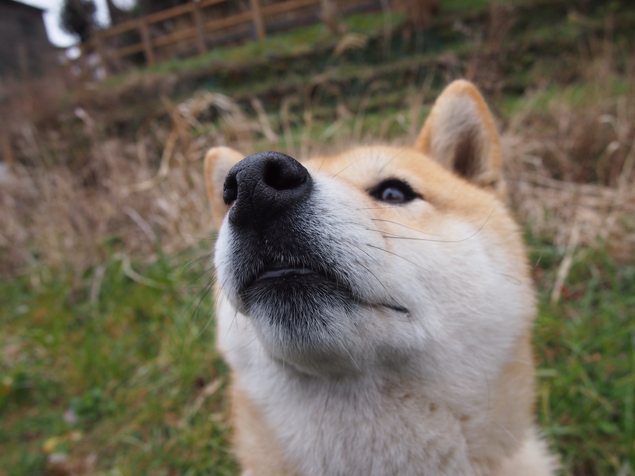 FB体育注册网址-CBA球队注重青年球员培养 打造未来之星，cba未来规划