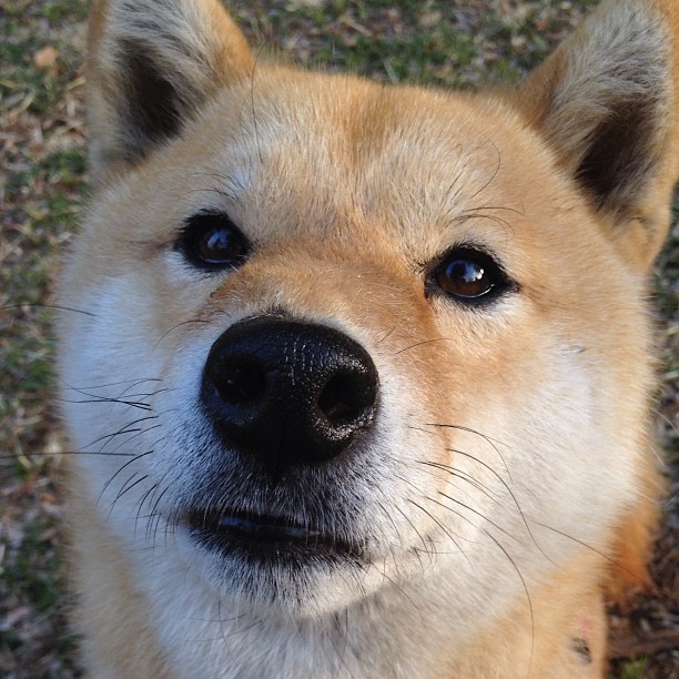 fb体育中国官网-“东安湖体育公园：2025世界运动会激战正酣，水上竞技看点十足”