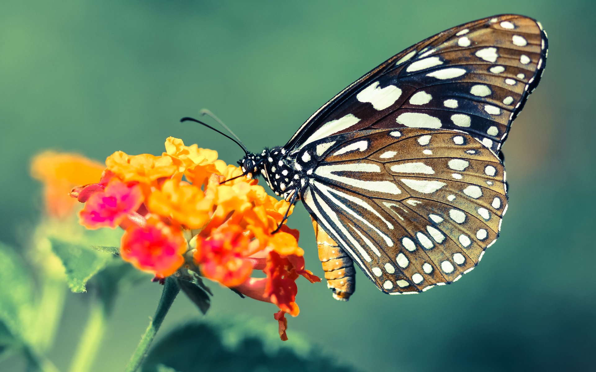 fb体育赛事平台-“快艇冲浪：东三叉湖赛场成为极速竞速的最佳舞台”