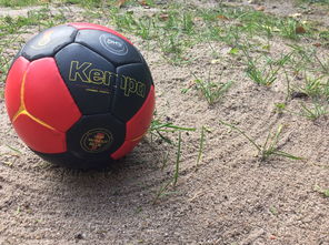 fb体育赛事平台-“沙滩赛场燃爆天府新区，沙滩手球和合球上演极限对决”