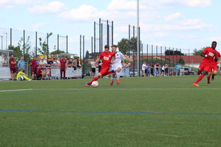 fb体育官网-未来足球运动场将实现环保材料全覆盖，绿色发展理念深入人心，室外足球场的运营方案